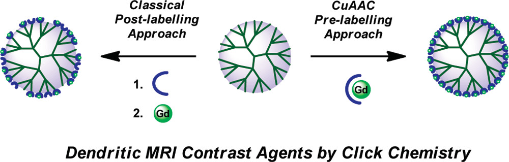 Reprinted with permission from Biomacromolecules 12, 2902–2907 (2011). Copyright © 2011 American Chemical Society