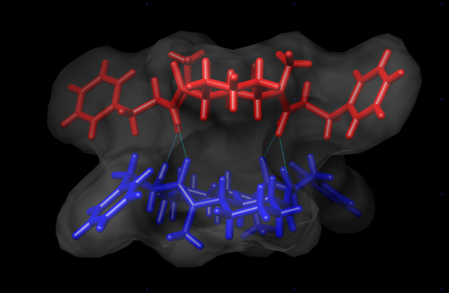 Reprinted with permission from J. Org. Chem., 2006, 71, 2802–2810. Copyright © 2006 American Chemical Society
