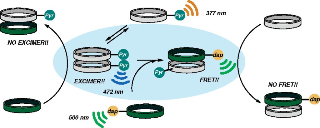 Reprinted with permission from Macromolecules, 2007, 40, 6094–6099. Copyright © 2007 American Chemical Society