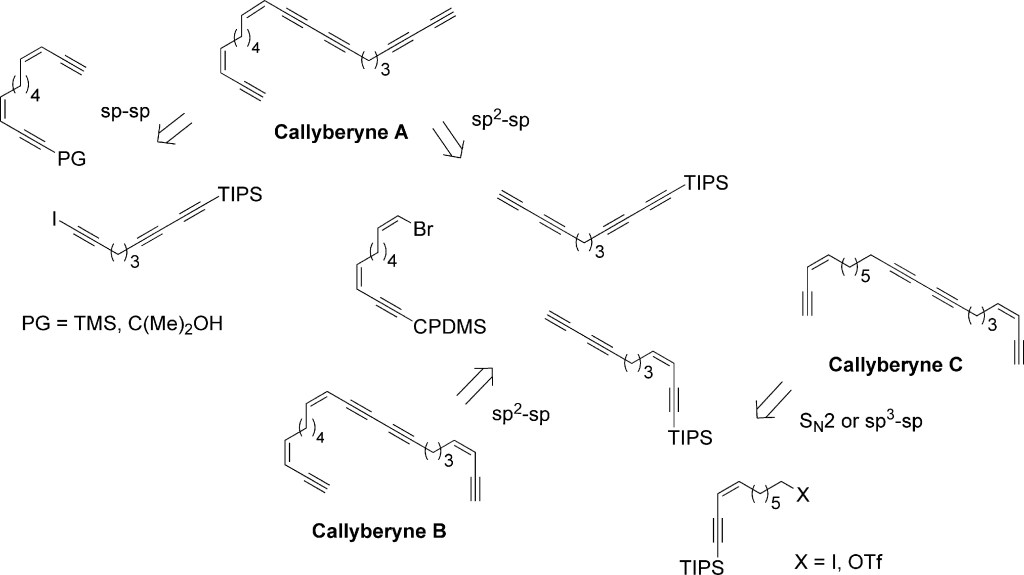 Reprinted with permission from J. Org. Chem., 2006, 71, 2802–2810. Copyright © 2006 American Chemical Society