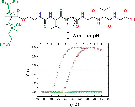 Reprinted with permission from Macromolecules, 2007, 40, 6094–6099. Copyright © 2007 American Chemical Society