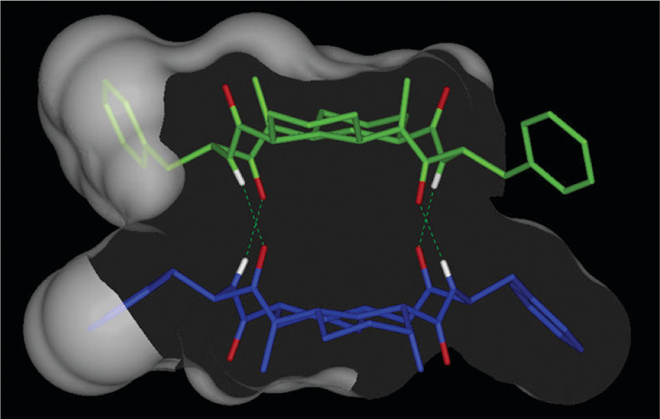 Reprinted with permission from J. Org. Chem., 2005, 70, 6346–6352. Copyright © 2005 American Chemical Society
